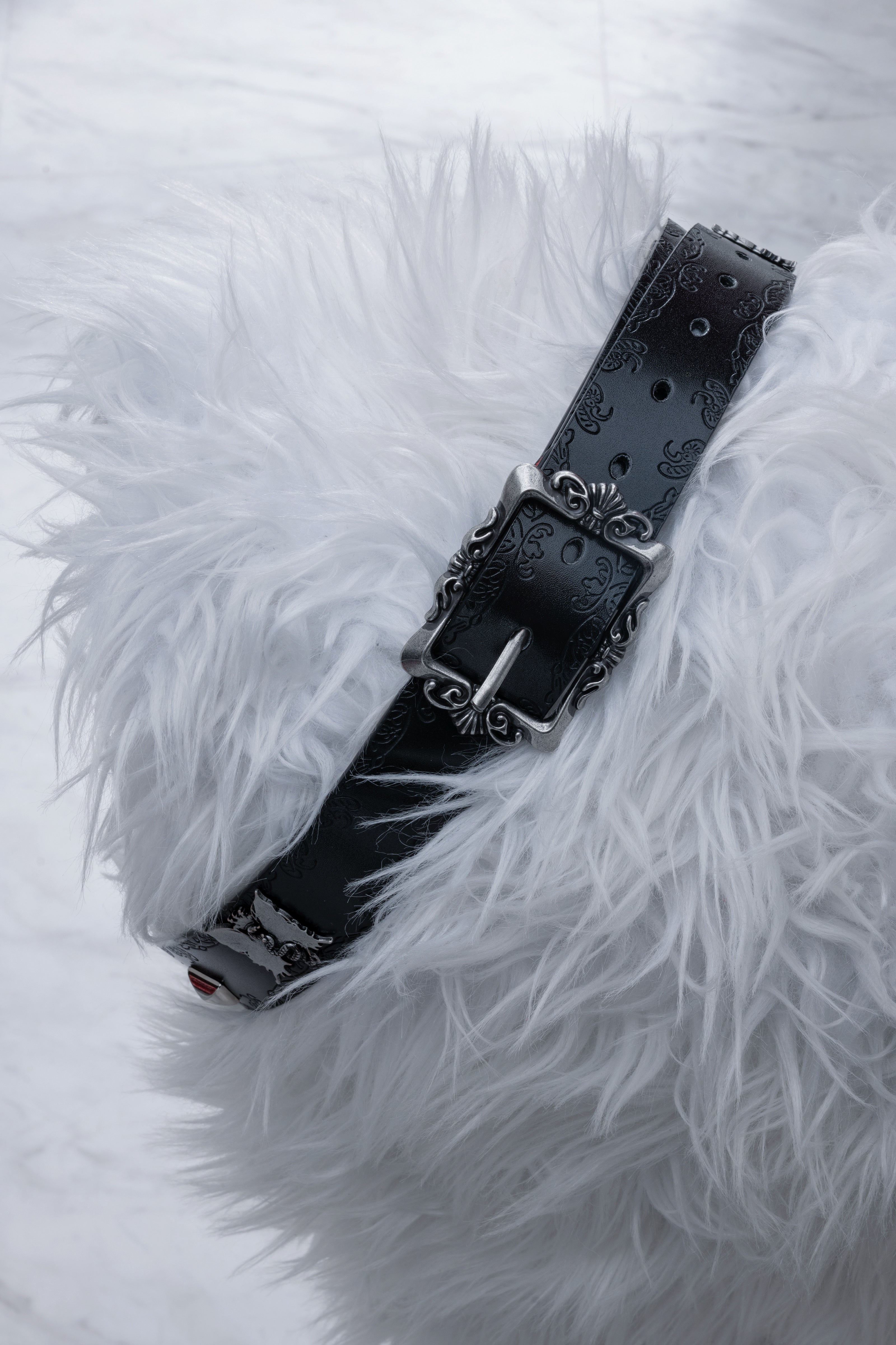 gibous×dependoll butterfly snake studs belt